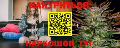 стафф Будённовск