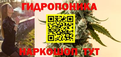 стафф Будённовск